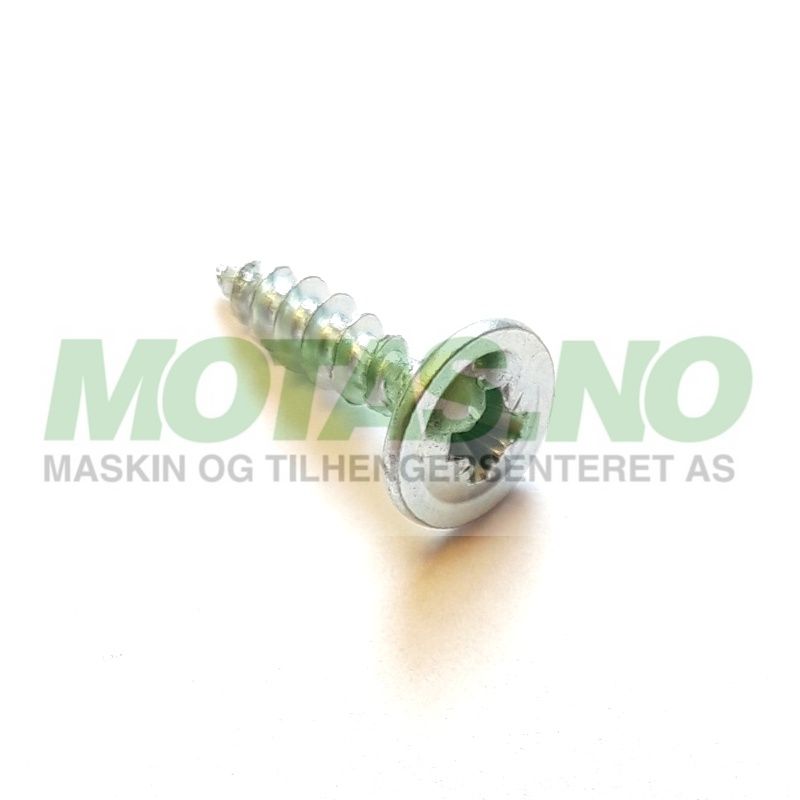 Skrue 4x17 PZ2 (sparkeplater)