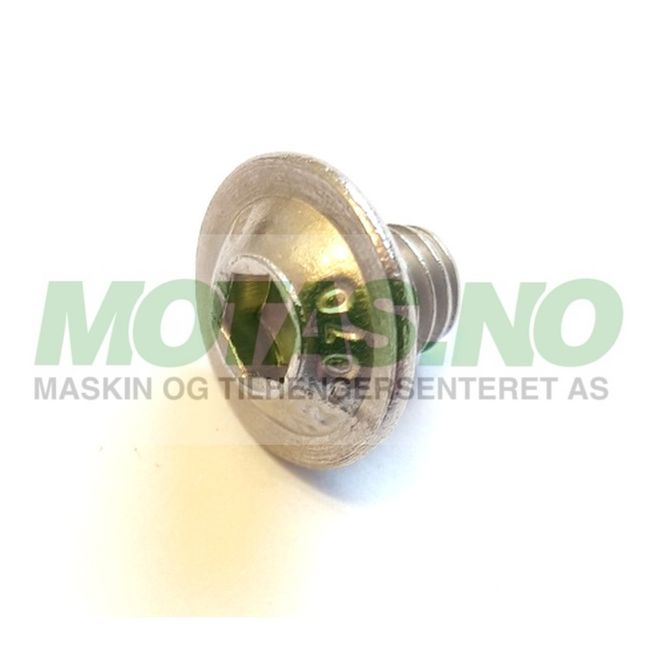 Hovedbilde Bolt M6x10 A2 ISO7380