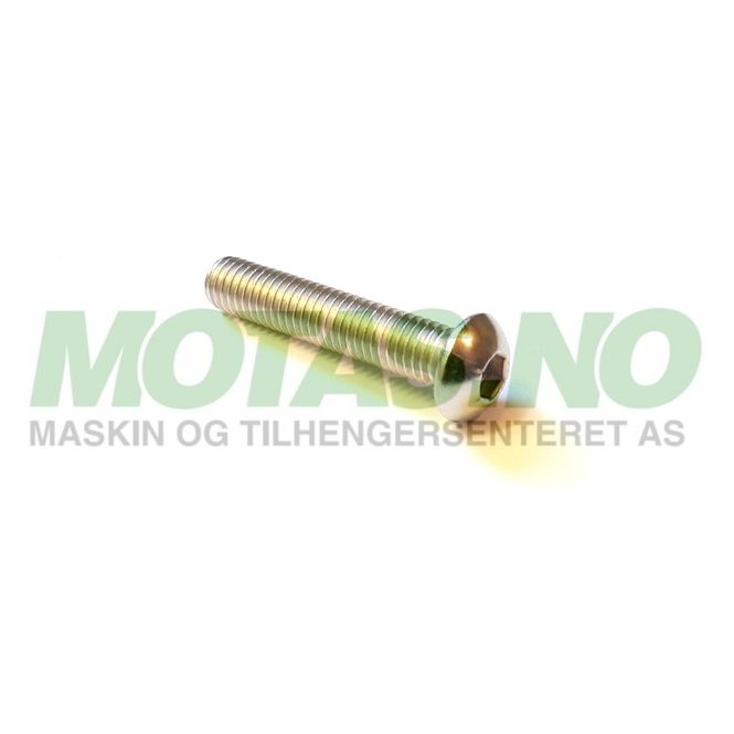 Hovedbilde Bolt M8x40 S.S-A2 ISO 7380