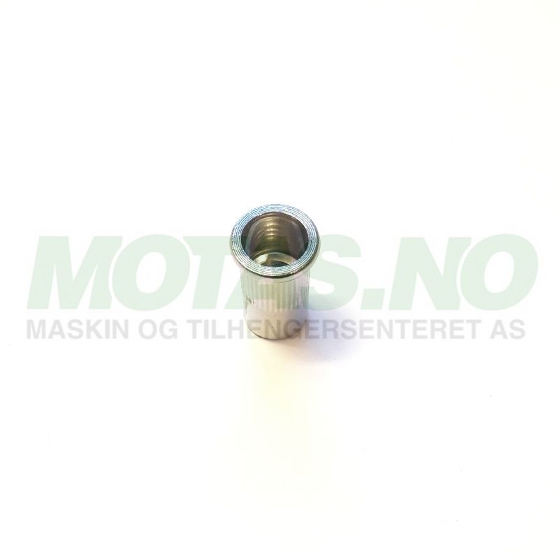 Blindnaglemutter M10 A2