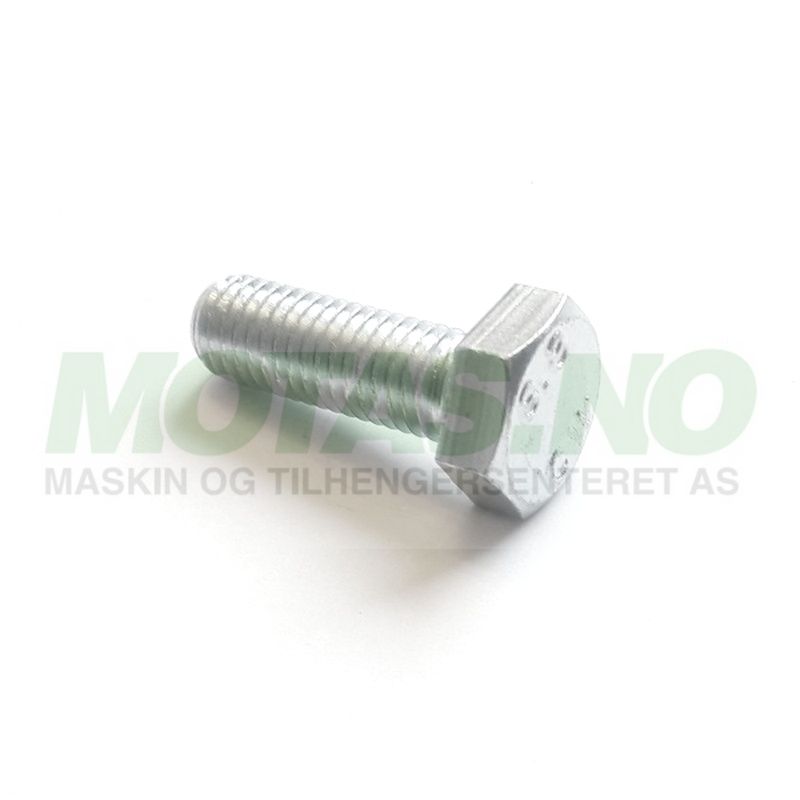 Bolt M10x30 8.8 DIN933